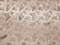 1 Yard 3D Butterfly Embroidered Blush Mesh Lace Fabric for Dresses and Crafts 50 Inch Width